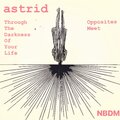 Astrid - Through the Darkness Of Your Life
