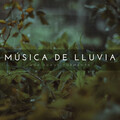 Música De Lluvia: Una Suave Tormenta