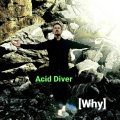 Acid Diver、Ronny Kvalheim、Alina Renae、Thomas Kvalheim - Why