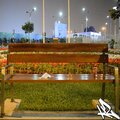 Nota 2490 (Explicit)