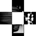 The Black and White Cafe Collective、Daniel Stockdale - Dub Day