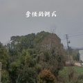 奇怪的调式