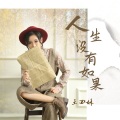 王四妹 - 人生没有如果只有结果