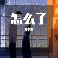 刘帅 - 怎么了