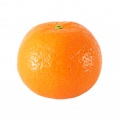 Dr Orange、Mr Lemon - Мукулатура (Explicit)