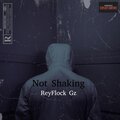 Mula Gzz、Dougie B、Kay Flocka、ReyFlock Gz、Bory 300 - Not Shaking (feat. Mula Gzz Bory 300 Dougie B & Kay Flocka)(Explicit)