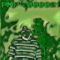 PMP - Flex