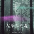 王同学Able - 林深不见鹿