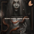 Barış Çakır、Emre Kabak、Ryder - Homicide