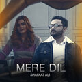 Shafaat Ali - Mere Dil