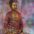 Yoga Tribe - Mindshaft