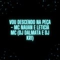 DJ Dalmata、Mc Nauan、Leticia MC、Dj KR1 - VOU DESCENDO NA PEÇA