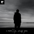 i really... miss you