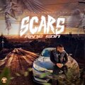 Scars