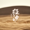 魏佳艺 - 狂沙