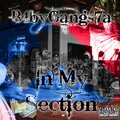 In My Section (feat. B4byGangs7a) [Explicit]