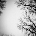 Baggie、Daedra - disappear (feat. Baggie) (Explicit)
