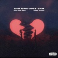 Ham Der Mali、Aytee - Sad Sam Opet Sam (feat. AyTee)(Explicit)
