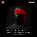Pusshit (Explicit)