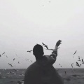 自愈 - 我还是
