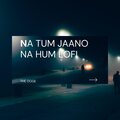 The Doge - Na tum jaano na hum (Lofi)