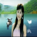 枕云听月 - 好想做你的情妹妹