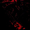 rvn6e、ahmed asamoah - DYING LIGHT (Explicit)