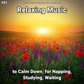 Relaxing Music by Dominik Agnello、Yoga、Relaxing Music - Relaxing Music Pt. 86