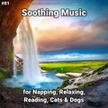 Relaxing Music by Dominik Agnello、Relaxing Spa Music、Yoga - Soothing Music Pt. 94