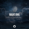 Seelo、Thomas Anthony - Night Owl