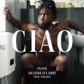 Ciao (feat. Deadbeat Larry & ToolBox) [Explicit]