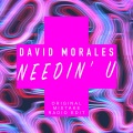 Needin' U (Original Mistake Radio Edit)