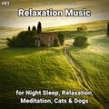 Relaxing Music by Rey Henris、Yoga、Relaxing Music - Relaxation Music Part 22