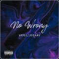 weezleeroy、Terrace - No Wrong (feat. Terrace)(Explicit)
