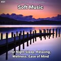 #01 Soft Music for Night Sleep, Relaxing, Wellness, Ease of Mind