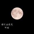 何聪 - Melody