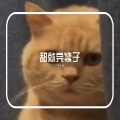 三十六 - 专属味道