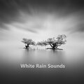White Noise Ambient、Sleepy White Noise Naptime、White Noise Focus Audio - Rain Clatter