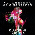 Quadrini、MC Andinho - Já é Sensação (Quadrin)(VIP Mix)