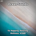 Ocean Currents、Nature Sounds、Ocean Sounds - Ocean Sounds Pt. 46