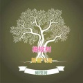 踏雪飞鹰 - 橄榄树