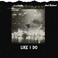 Like I Do (Explicit)