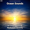 Ocean Currents、Nature Sounds、Ocean Sounds - Ocean Sounds Pt. 33