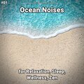 Ocean Currents、Nature Sounds、Ocean Sounds - Ocean Noises Pt. 54