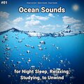 Ocean Currents、Nature Sounds、Ocean Sounds - Ocean Sounds Pt. 7