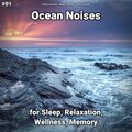 Ocean Currents、Nature Sounds、Ocean Sounds - Ocean Noises Pt. 57