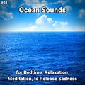 Ocean Currents、Nature Sounds、Ocean Sounds - Ocean Sounds Pt. 38