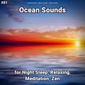 Coastal Sounds、Nature Sounds、Ocean Sounds - Ocean Sounds Part 80