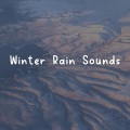 Thunderstorm - Winter Rain Sounds, Pt. 7