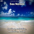 Sea Waves Sounds、Nature Sounds、Ocean Sounds - Sea Noises Pt. 38